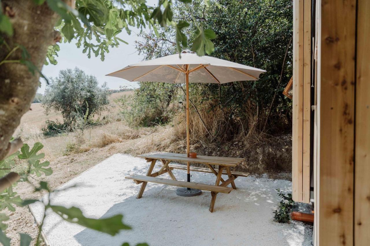 Agriturismo Qui Voglio Monte Roberto Екстериор снимка
